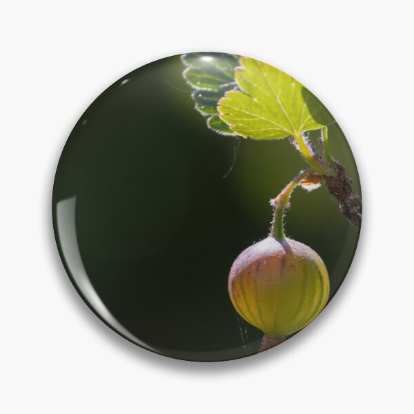 Item preview, Gooseberry designed and sold by Calidris Fotografie Steffi & Ben Köppler.