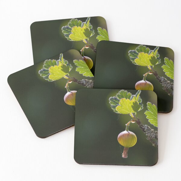Item preview, Gooseberry designed and sold by Calidris Fotografie Steffi & Ben Köppler.