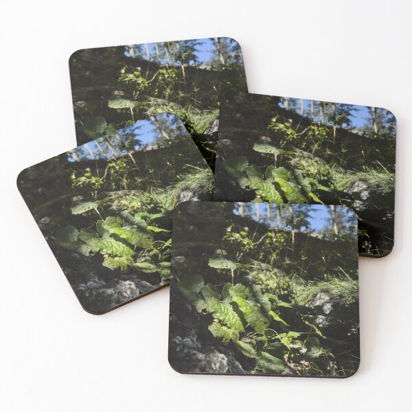 Item preview, Sunlight dappling forest leaves designed and sold by colliophoto.