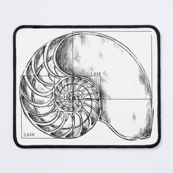 Item preview, Fibonacci on a nautilus shell - pencil drawing designed and sold by funmaths.