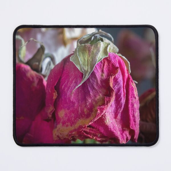 Item preview, Wilted Dried Red Roses X200 designed and sold by RichFrancoCars.