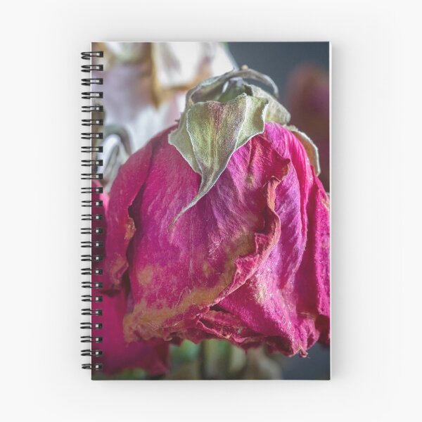 Item preview, Wilted Dried Red Roses X200 designed and sold by RichFrancoCars.