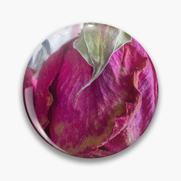 Item preview, Wilted Dried Red Roses X203 designed and sold by RichFrancoCars.