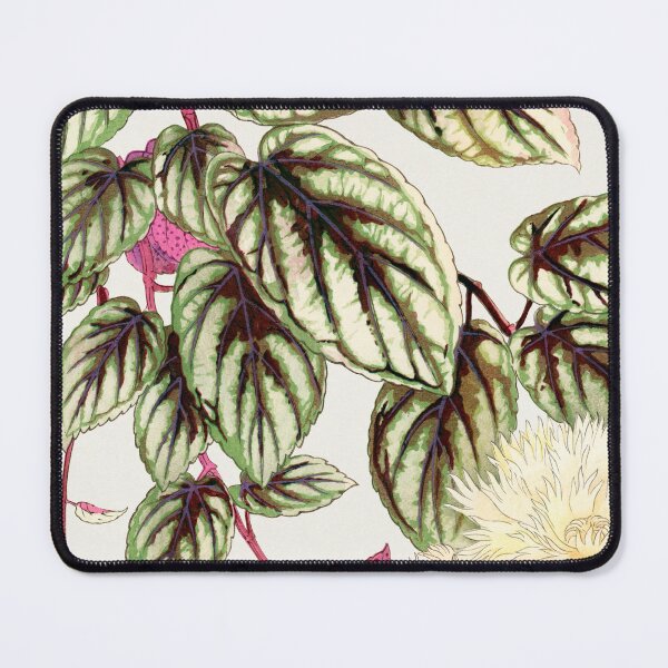 Item preview, White Flower designed and sold by VintageArtByIda.