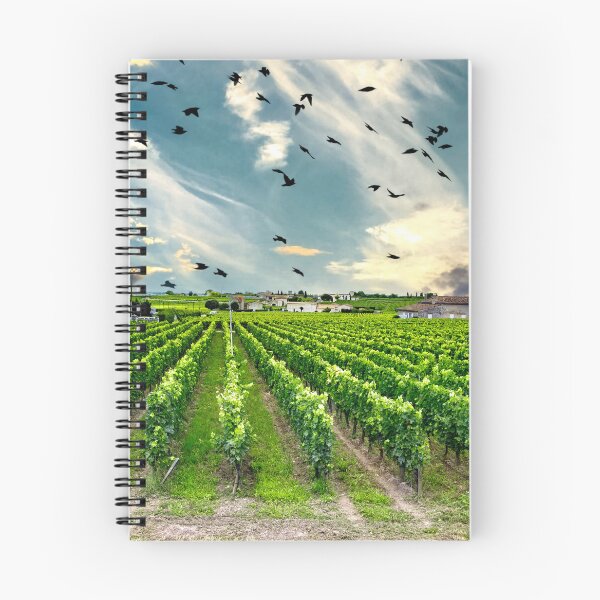 Item preview, Family run Vinyard in the Bordeaux region of France designed and sold by John Lines.