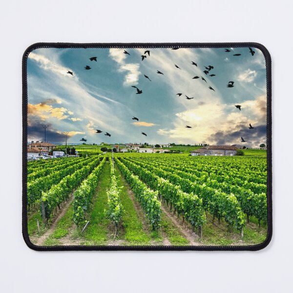 Item preview, Family run Vinyard in the Bordeaux region of France designed and sold by John Lines.