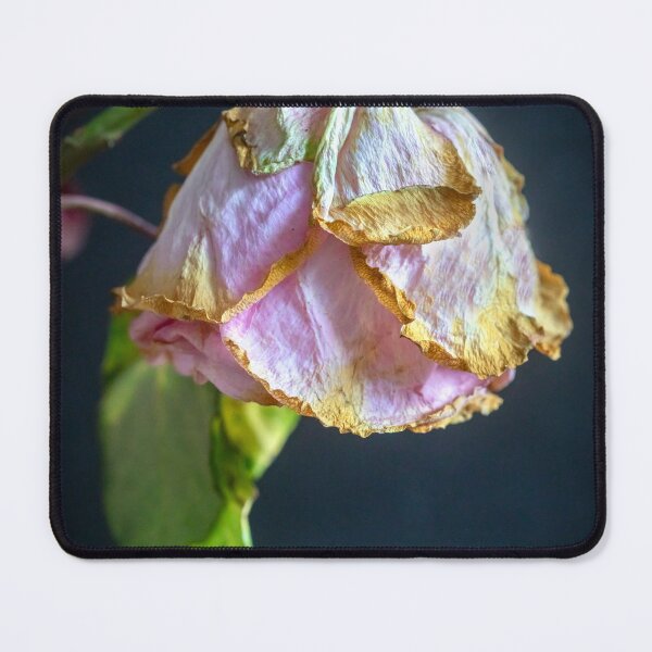 Item preview, Wilted Dried Red Roses X210 designed and sold by RichFrancoCars.