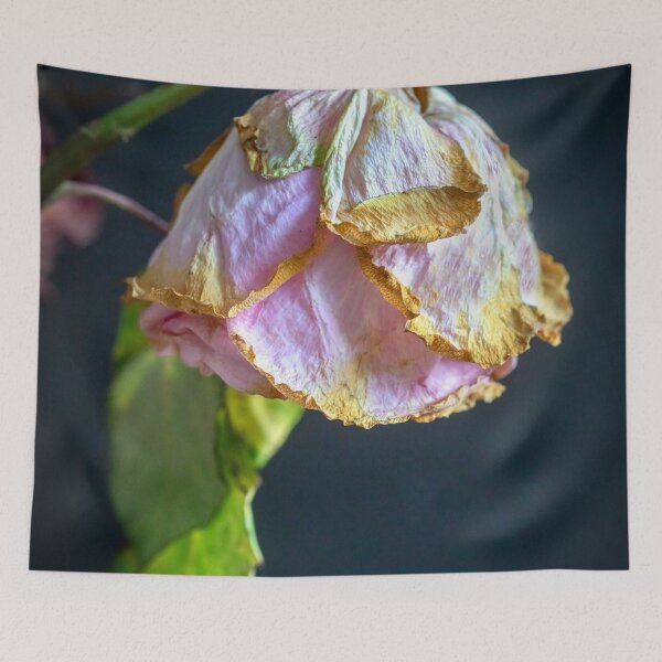Item preview, Wilted Dried Red Roses X210 designed and sold by RichFrancoCars.