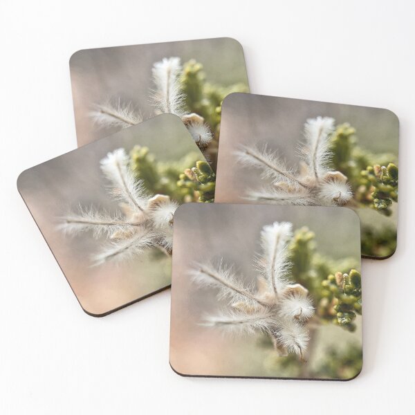 Item preview, Stansbury Cliffrose designed and sold by Jason Tompkins.