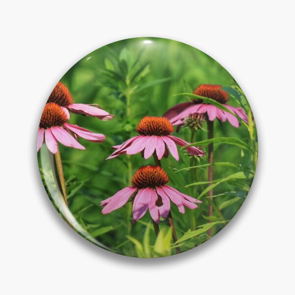 Item preview, Cornflowers in a row designed and sold by Chris Coates Photography.com.