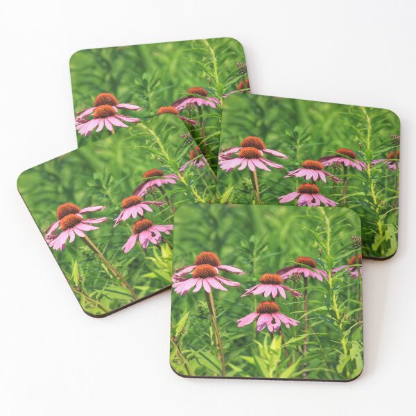 Item preview, Cornflowers in a row designed and sold by Chris Coates Photography.com.