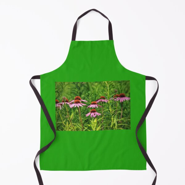 Item preview, Cornflowers in a row designed and sold by Chris Coates Photography.com.