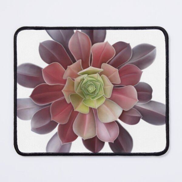 Item preview, Green to purple ombré succulent plant. designed and sold by Kerrie Owens.