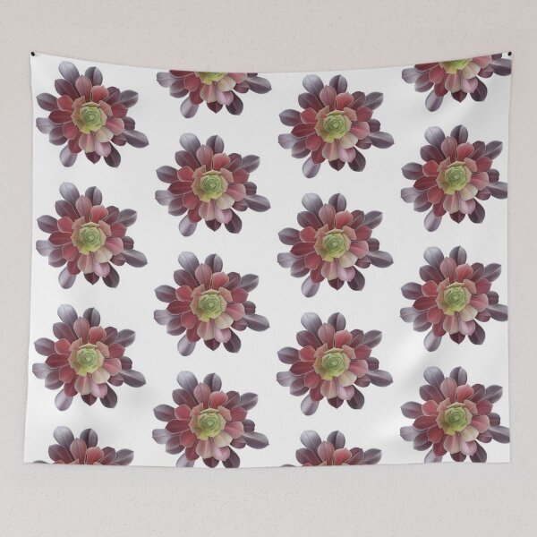 Item preview, Green to purple ombré succulent plant. designed and sold by Kerrie Owens.
