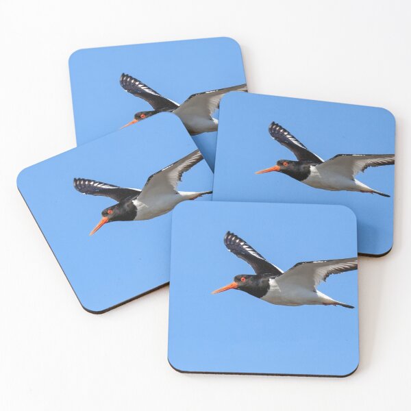 Item preview, Oystercatcher in Flight designed and sold by Tom McPherson Photography.