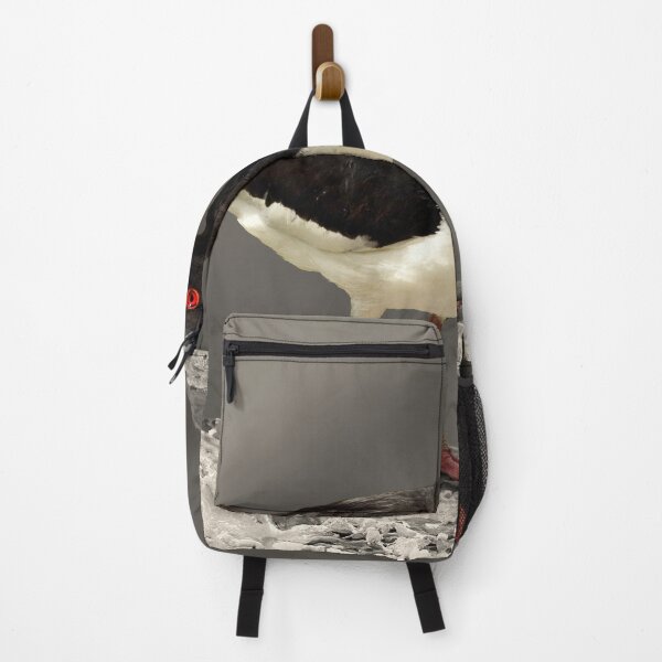 Item preview, The Oystercatcher designed and sold by Tom McPherson Photography.