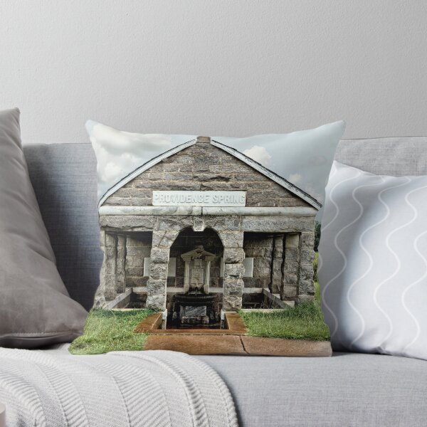 Item preview, Providence Spring - Andersonville National Historical Site designed and sold by jtrommer.