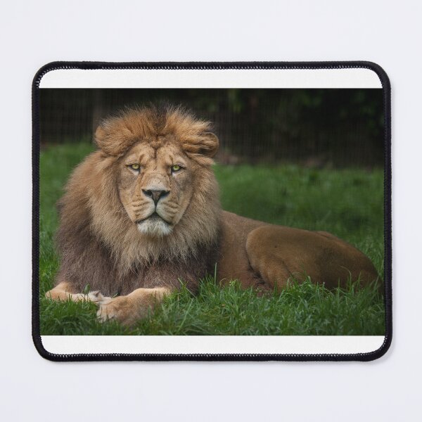 Item preview, Three Lions designed and sold by Nigel R Bell Photography.