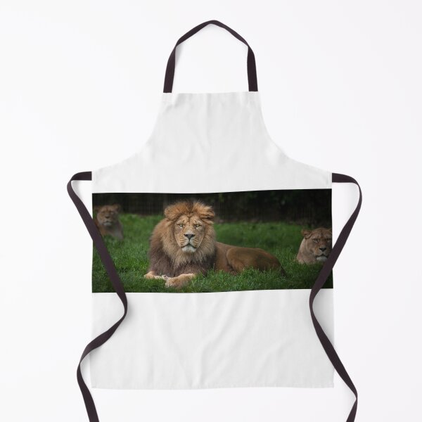 Item preview, Three Lions designed and sold by Nigel R Bell Photography.