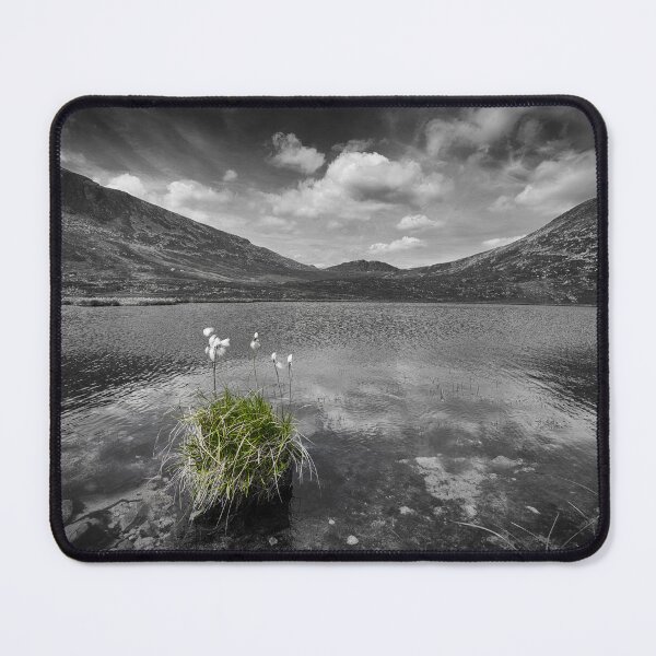 Item preview, Bog Cotton on Blue Lough designed and sold by Nigel R Bell Photography.