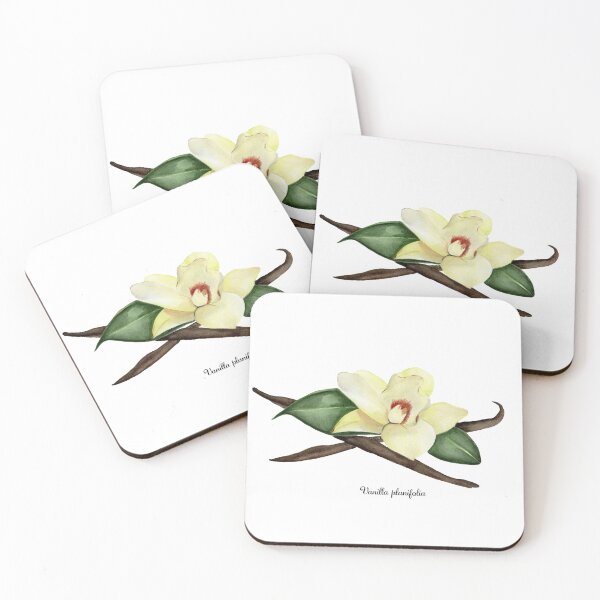 Item preview, Vanilla planifolia designed and sold by adrianajordao.