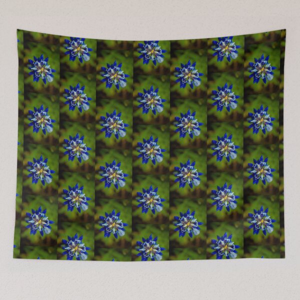 Item preview, bluebonnet aerial view designed and sold by wrathchildphoto.