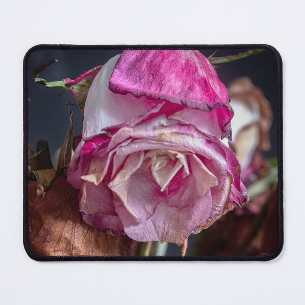 Item preview, Wilted Dried Red Roses X220 designed and sold by RichFrancoCars.
