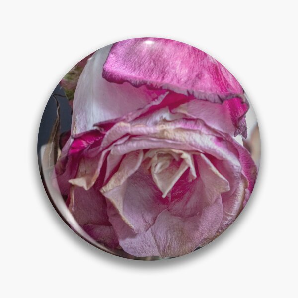 Item preview, Wilted Dried Red Roses X220 designed and sold by RichFrancoCars.
