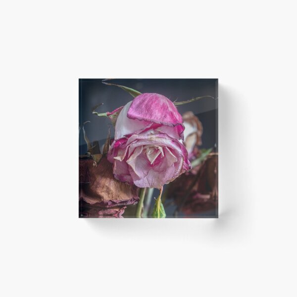 Item preview, Wilted Dried Red Roses X220 designed and sold by RichFrancoCars.