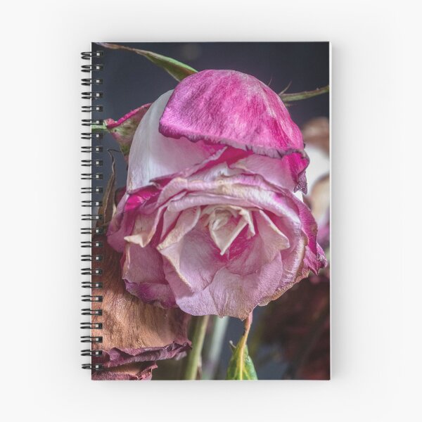 Item preview, Wilted Dried Red Roses X220 designed and sold by RichFrancoCars.