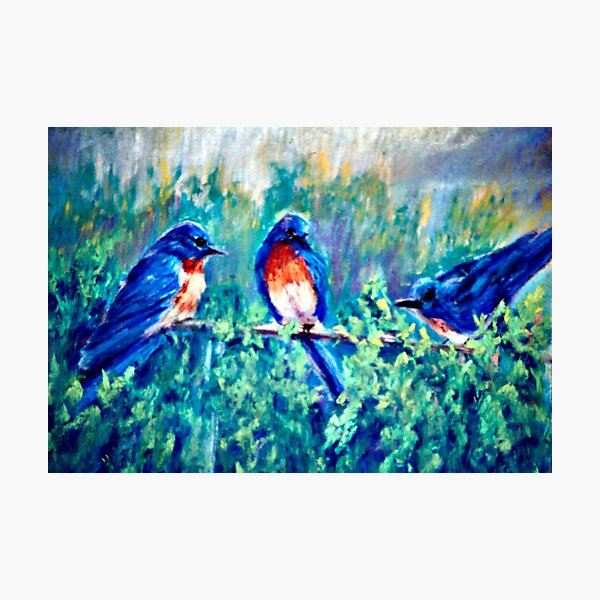 Item preview, Backyard Gossip designed and sold by jimmie.