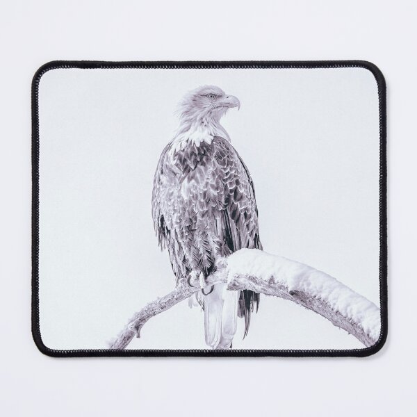 Item preview, High Key Bald Eagle Alaska designed and sold by PhotoArt by Joan Carroll.