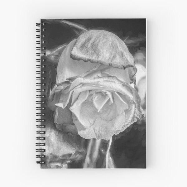 Item preview, Wilted Dried Red Roses X222 designed and sold by RichFrancoCars.