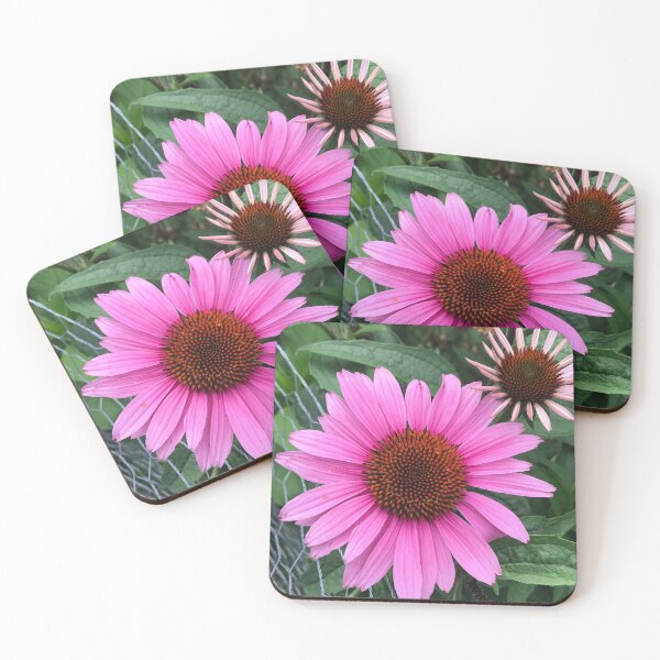 Item preview, Garden Coneflower  designed and sold by SaltyMonster.