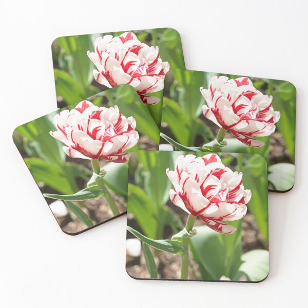 Item preview, Tulip Carnival de Nice designed and sold by tricksterjason.