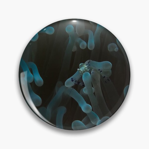 Item preview, Ghost with a Shell designed and sold by SalishSeascapes.