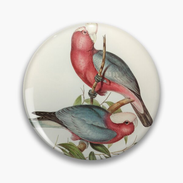 Item preview, Galah Illustration  designed and sold by ncbennett.
