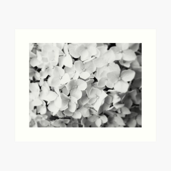 Item preview, Soft Flowers designed and sold by Jenn Kellar.