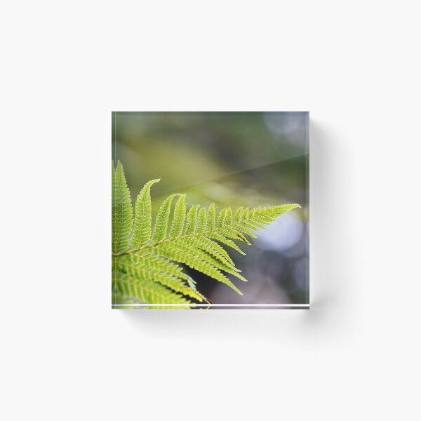 Item preview, Ferny Bokeh designed and sold by FernOlive.