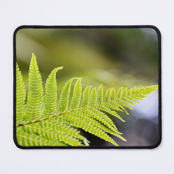 Item preview, Ferny Bokeh designed and sold by FernOlive.