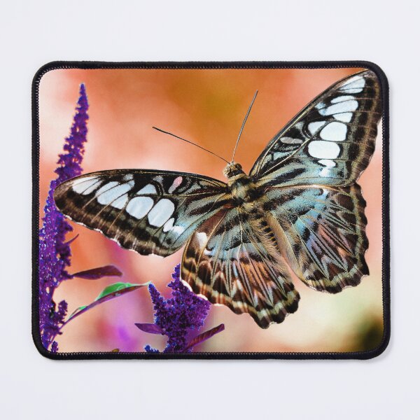 Item preview, Blue on Orange Butterfly designed and sold by Lois  Bryan.