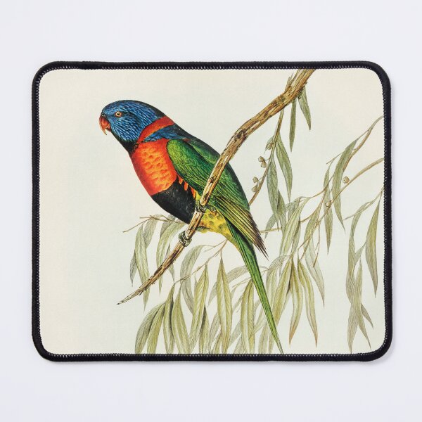 Item preview, Rainbow Lorikeet designed and sold by ncbennett.