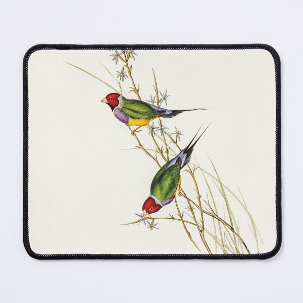 Item preview, Grass Finch designed and sold by ncbennett.