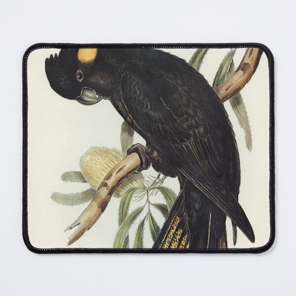 Item preview, Black Cockatoo designed and sold by ncbennett.