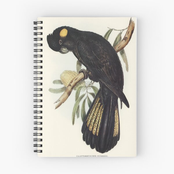 Item preview, Black Cockatoo designed and sold by ncbennett.