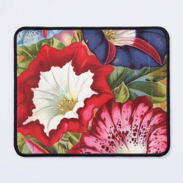 Item preview, Morning glories - Childs 1896 designed and sold by killies.