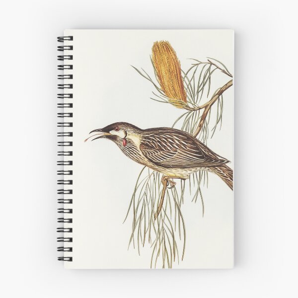 Item preview, Wattle Bird Honey-Eater designed and sold by ncbennett.