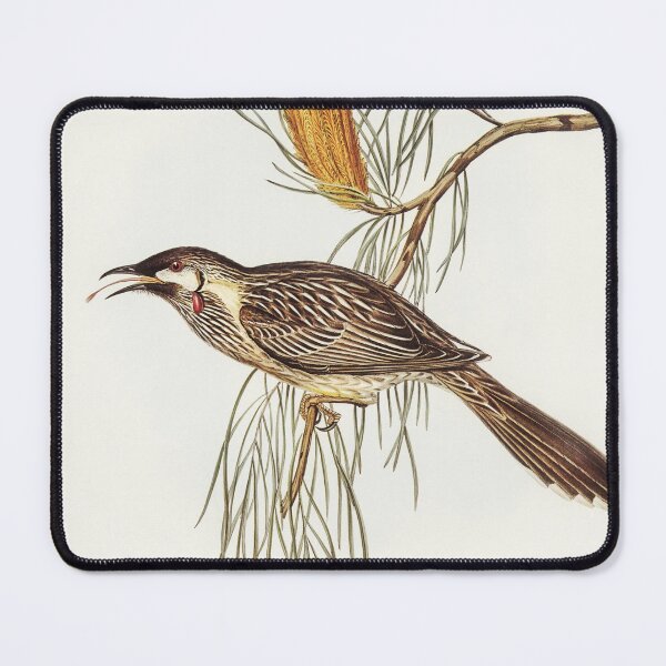 Item preview, Wattle Bird Honey-Eater designed and sold by ncbennett.