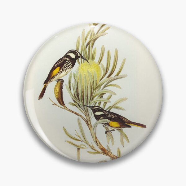 Item preview, Moustached Honey-eater designed and sold by ncbennett.