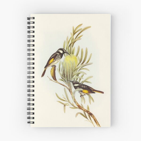 Item preview, Moustached Honey-eater designed and sold by ncbennett.